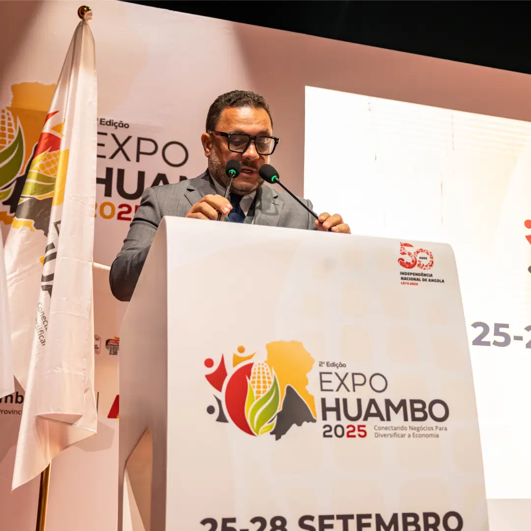 galeria_eh11-1.webp